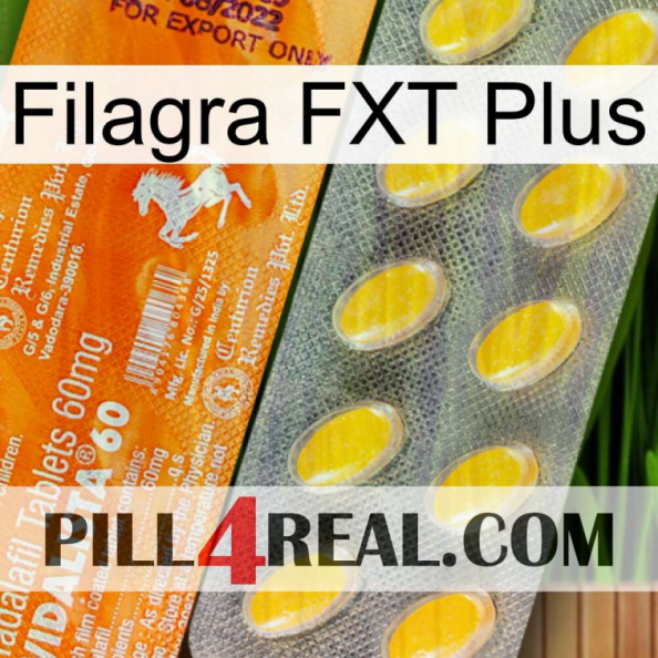 Filagra FXT Plus new05.jpg